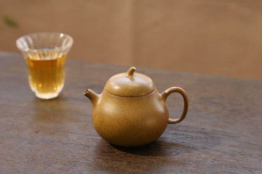 Chai Shao Small Golden Gourd (柴烧小金瓜) Yixing Zisha Teapot 120ML