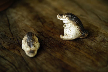 Little Crocodile (小鳄鱼茶宠) Yixing Zisha Tea Pet