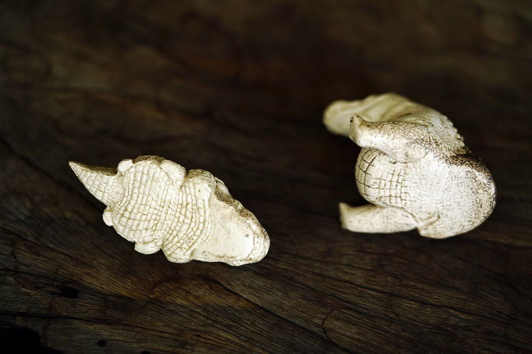 Little Crocodile (小鳄鱼茶宠) Yixing Zisha Tea Pet