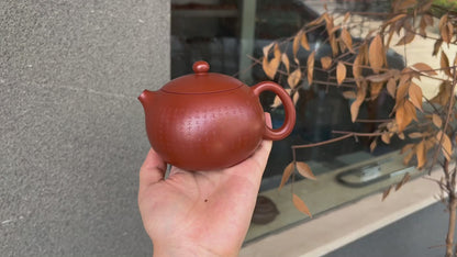 Heart Sutra Xishi (心经西施) Yixing Zisha Teapot 220ml