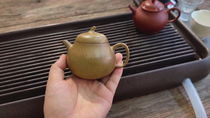 Chai Shao Small Golden Gourd (柴烧小金瓜) Yixing Zisha Teapot 120ML