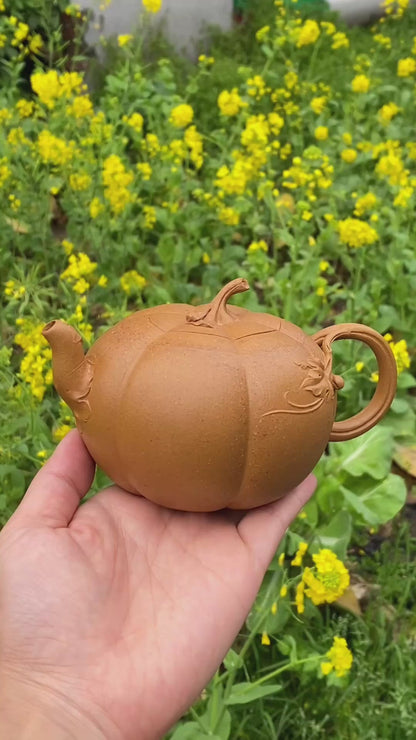 Bionic Round Pumpkin (仿生圆南瓜) Yixing Zisha Teapot 330ML